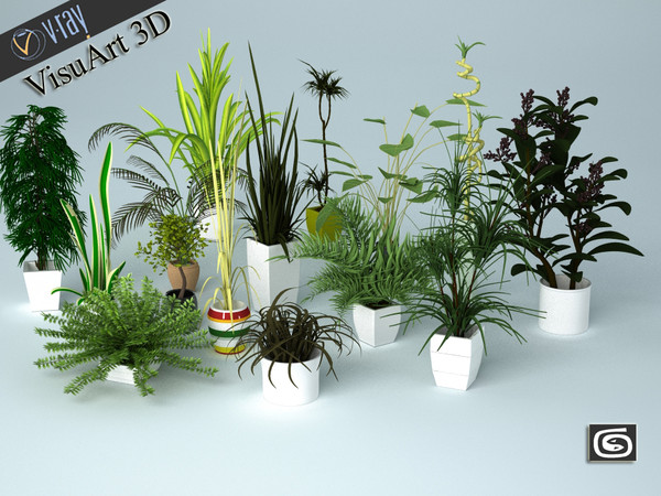 plant interior 3d model - plants collection... by VisuArt3D
